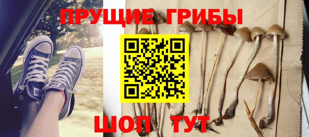 Галлюциногенные грибы мухоморы Мурино