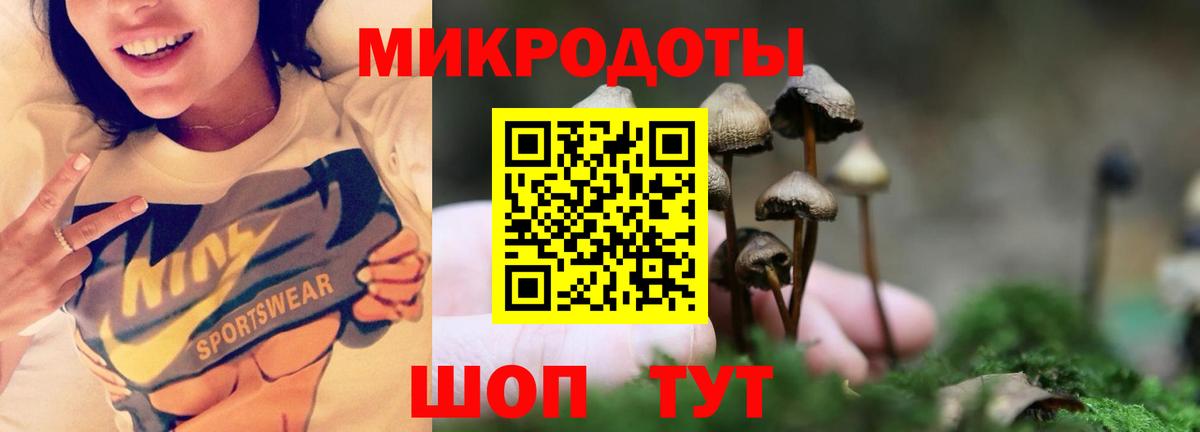 Мурино  Галлюциногенные грибы прущие грибы  Вход с VPN 